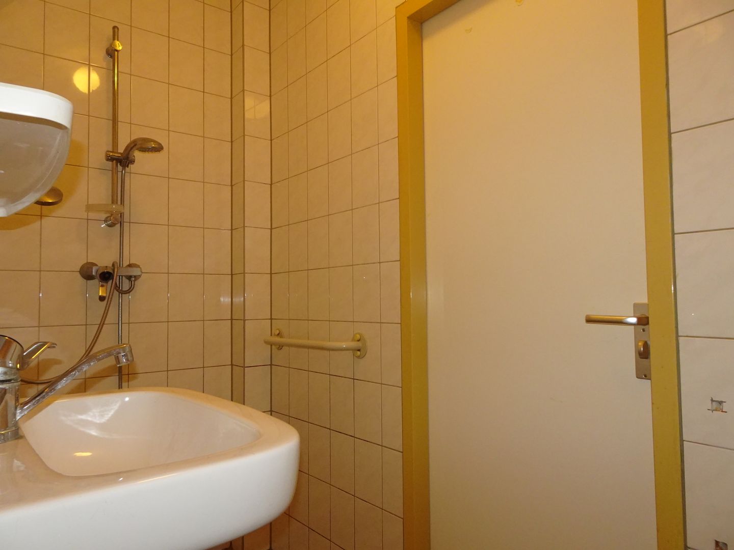 Foto 4 van Paludanusweg 33