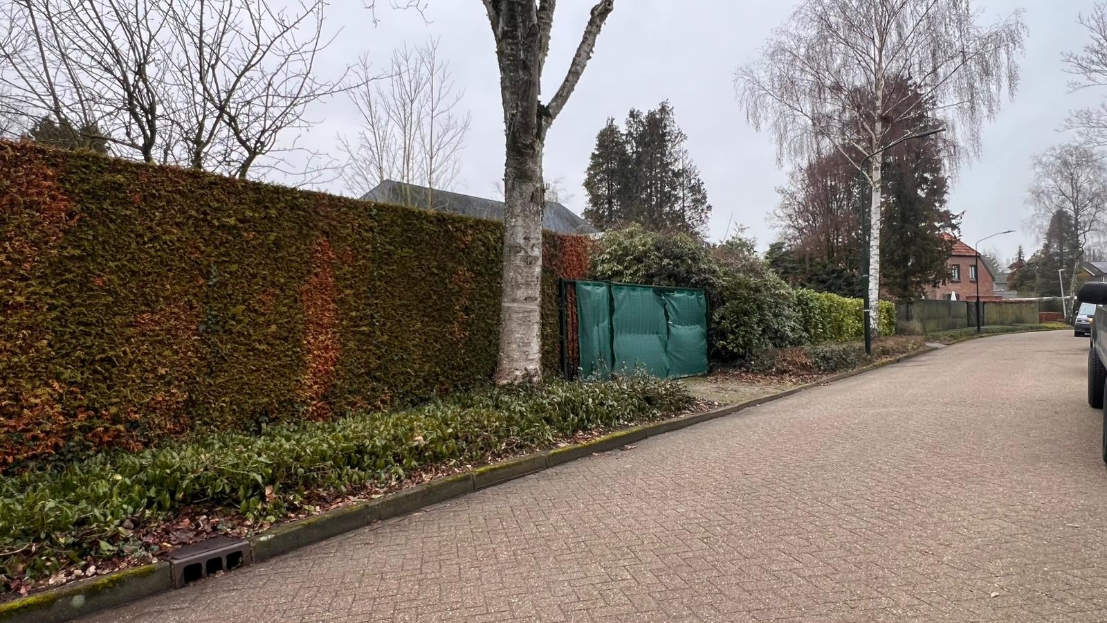 Foto 9 van Johan Frisostraat