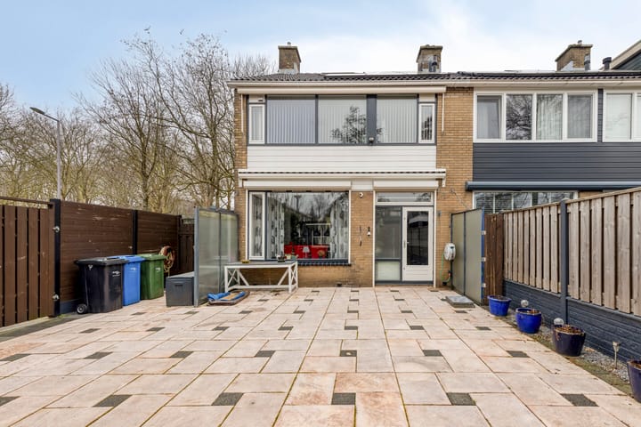 Foto 4 van Boterbloem 8