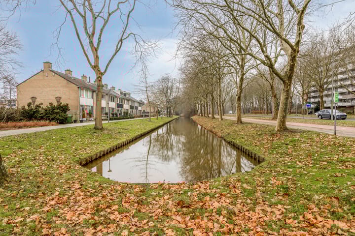 Foto 28 van Boterbloem 8