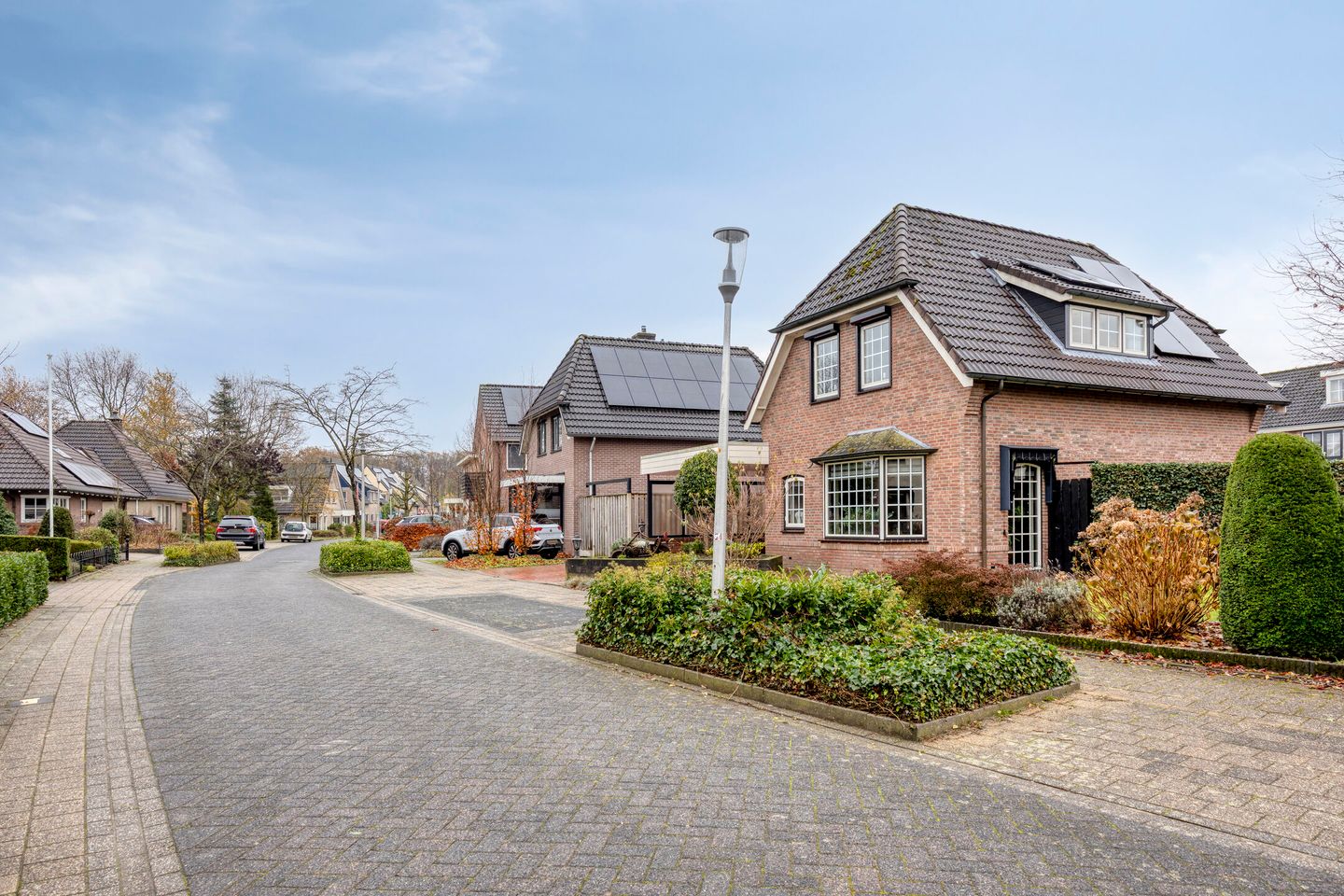 Foto 4 van Duizendblad 17