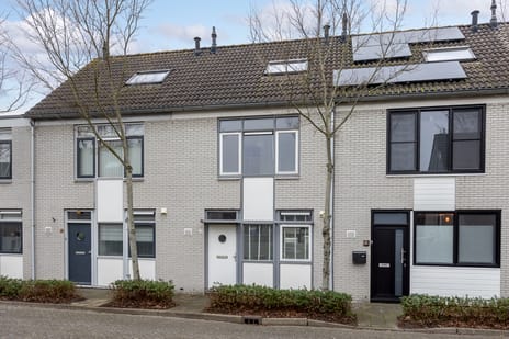 undefined main image