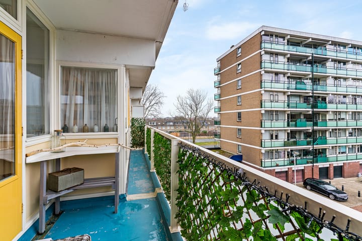 Foto 37 van Merelstraat 230