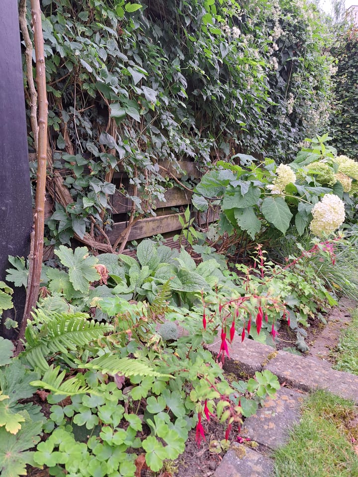 Photo 42 of Prins Bernhardlaan 31