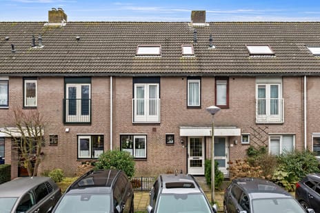 undefined main image