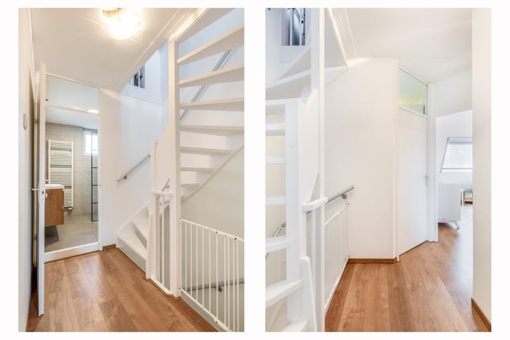 Foto 15 van Dukaatvlinder 7