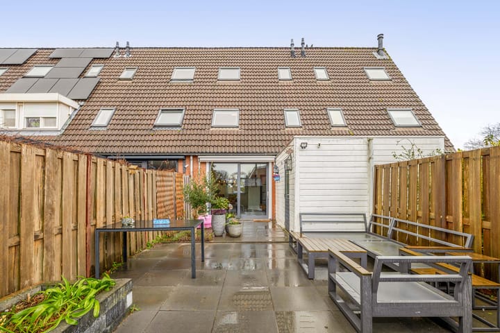 Foto 31 van Dukaatvlinder 7