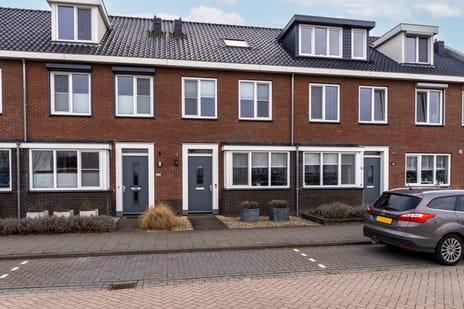 undefined main image