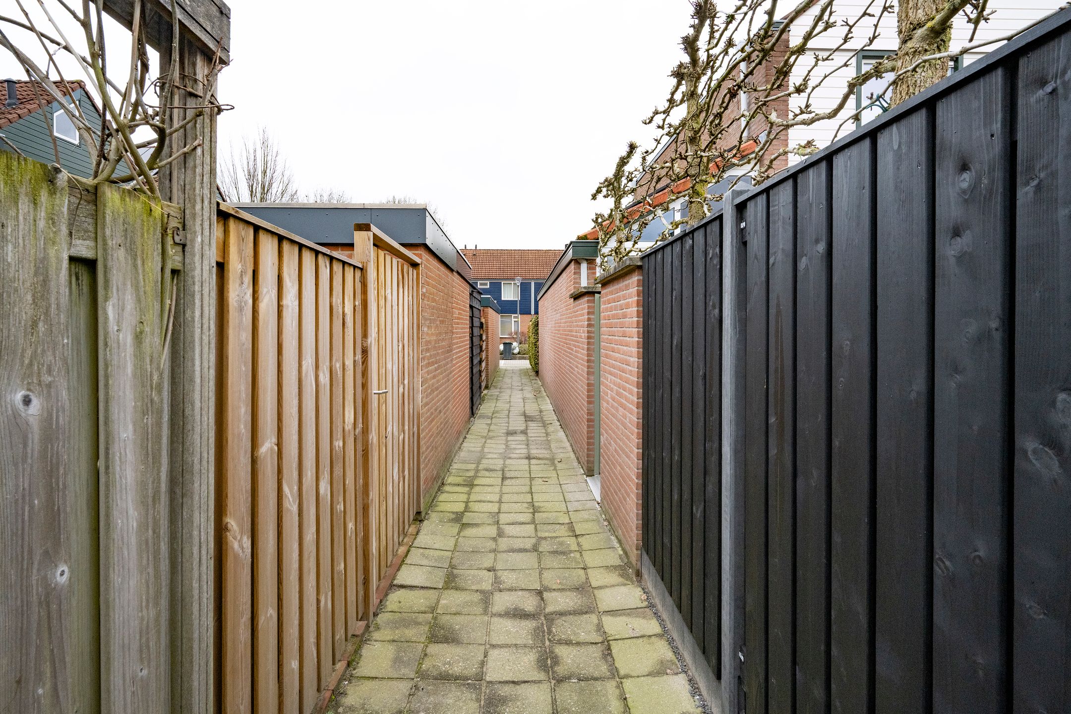 Photo 27 of de Vlashegge 59