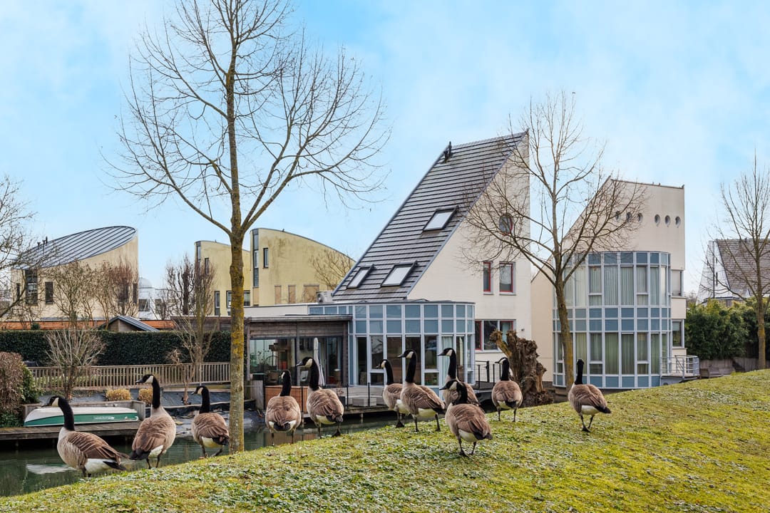 Photo 71 of Wolfsbossingel 48