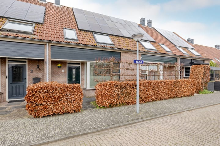 Foto 5 van Molwijk 4