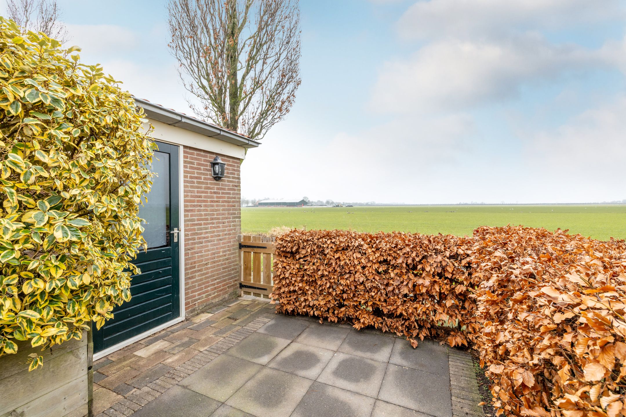 Foto 42 van Molwijk 4