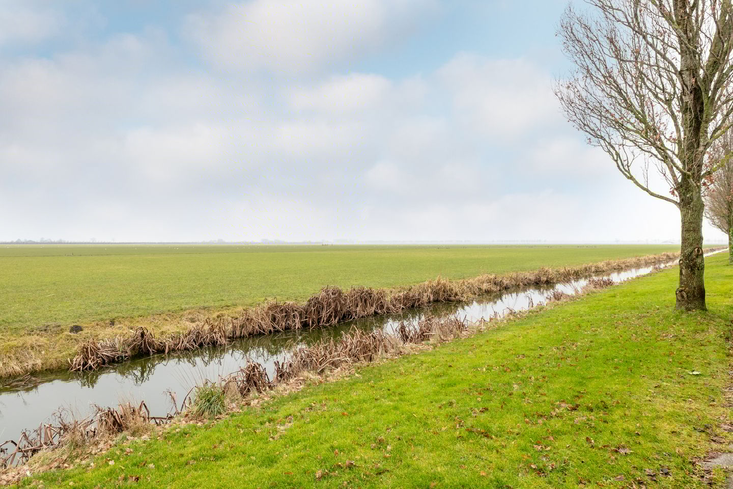 Foto 50 van Molwijk 4