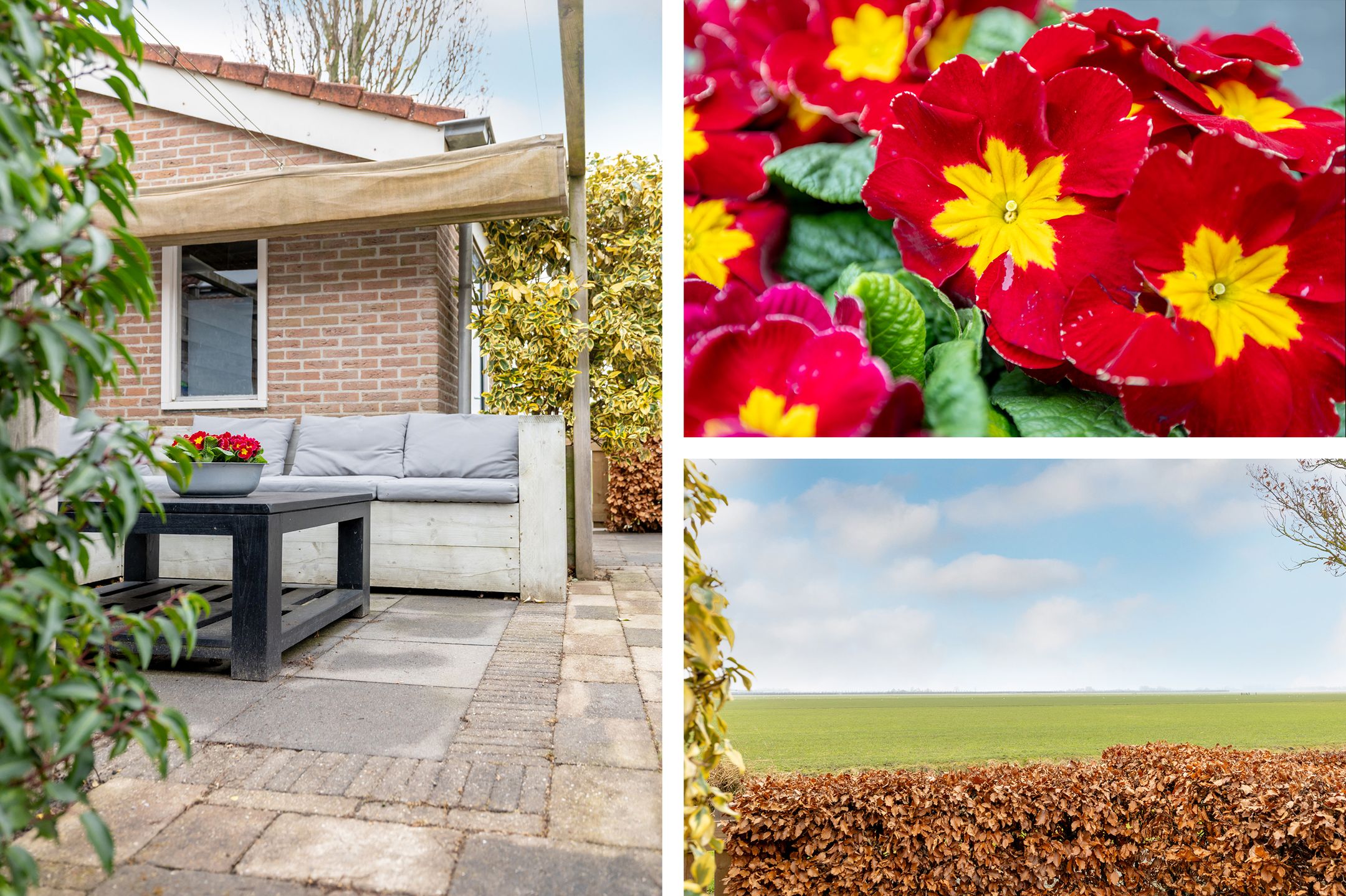 Foto 51 van Molwijk 4