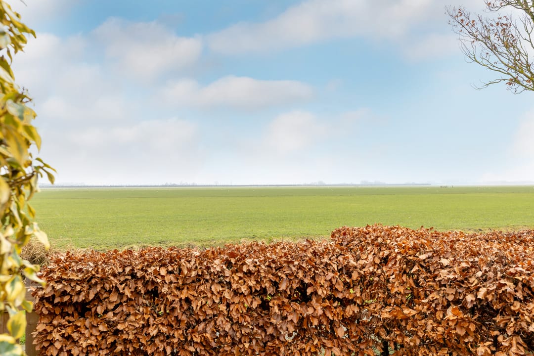 Foto 52 van Molwijk 4