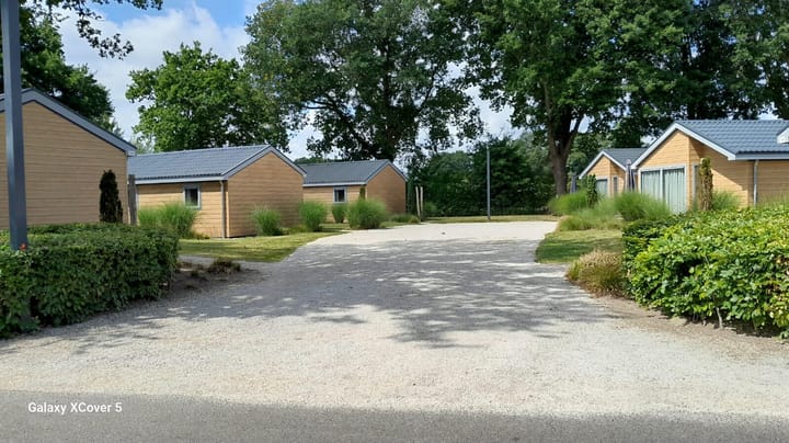 Foto 4 van van Haestrechtstraat 24