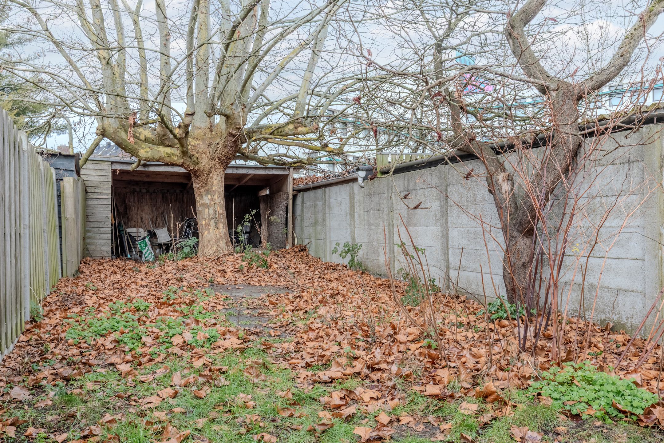 Foto 33 van Oede van Hoornestraat 12