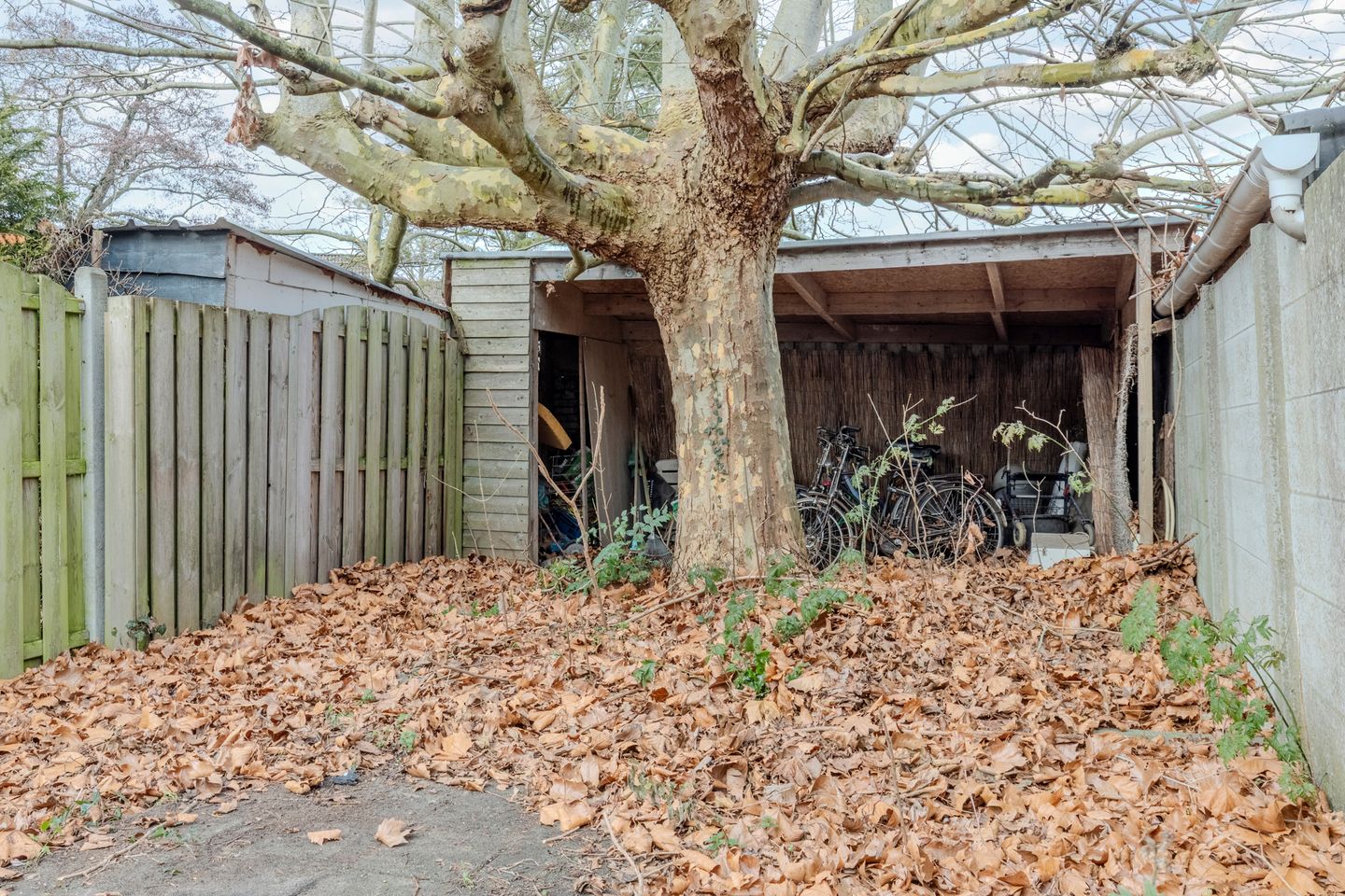 Foto 34 van Oede van Hoornestraat 12