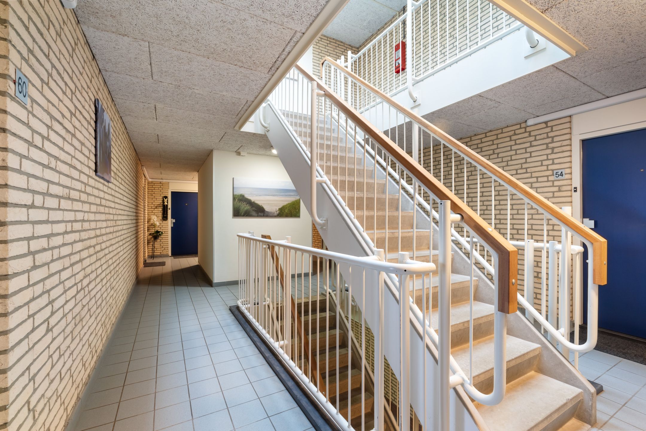 Foto 9 van Parelduiker 60