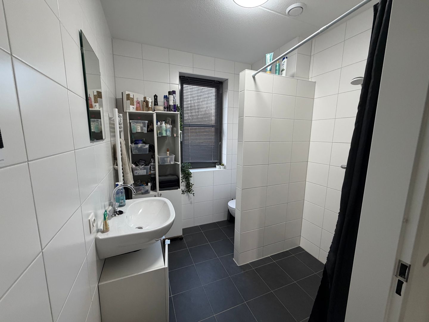 Photo 10 of Rijsbes 21