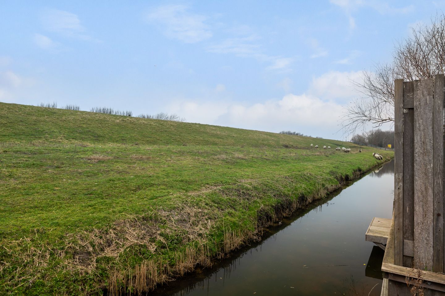 Foto 34 van Parelduiker 60