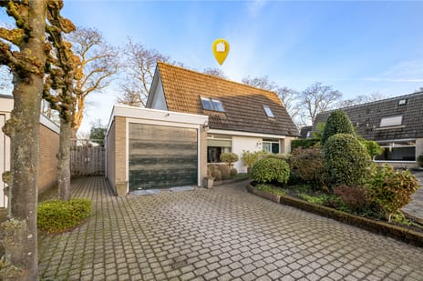 Alexanderdonk thumbnail