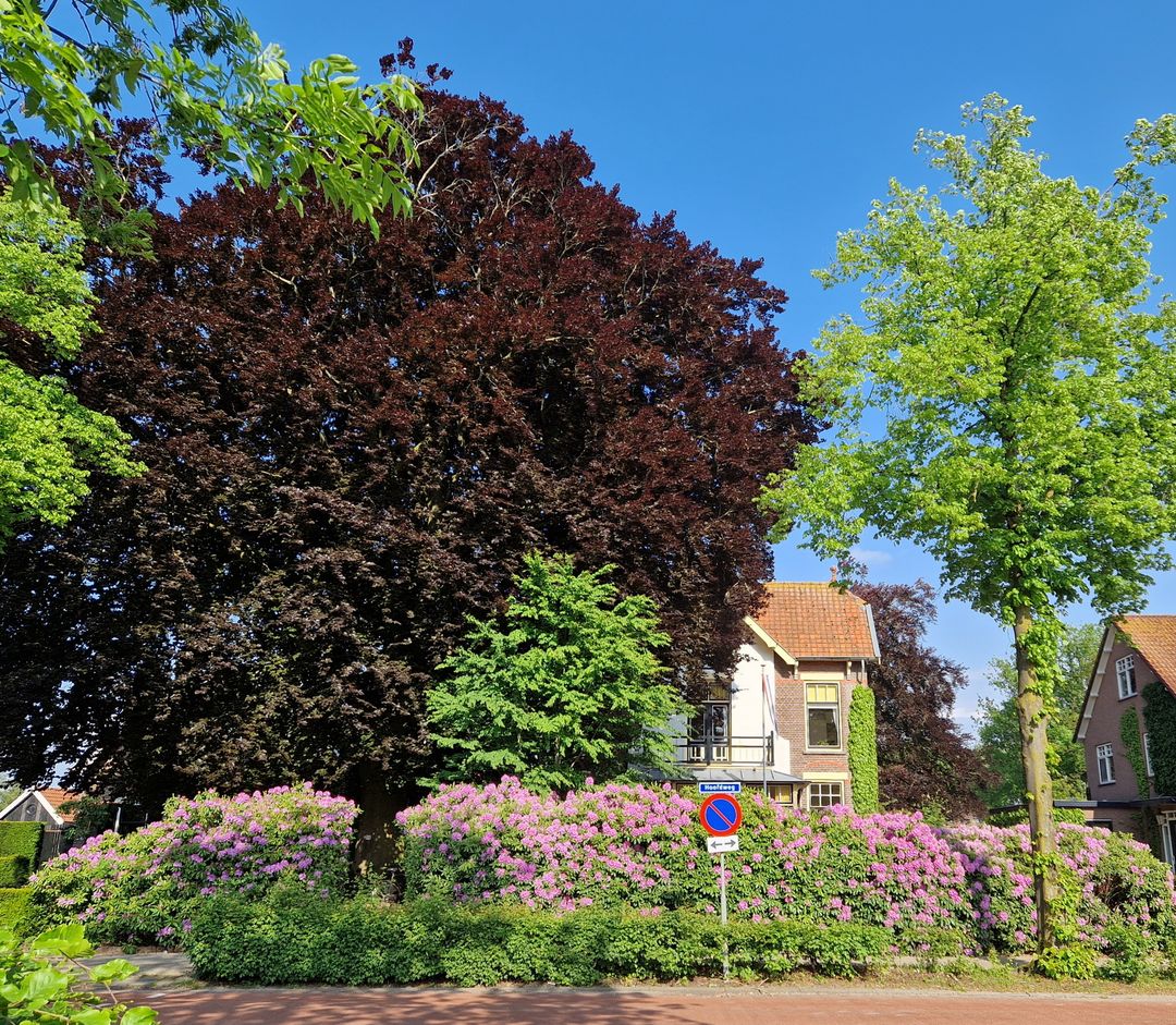 Photo 62 of Hoofdweg 116