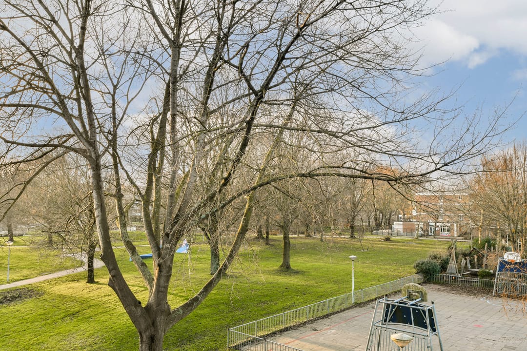 Photo 11 of Spinaker 153