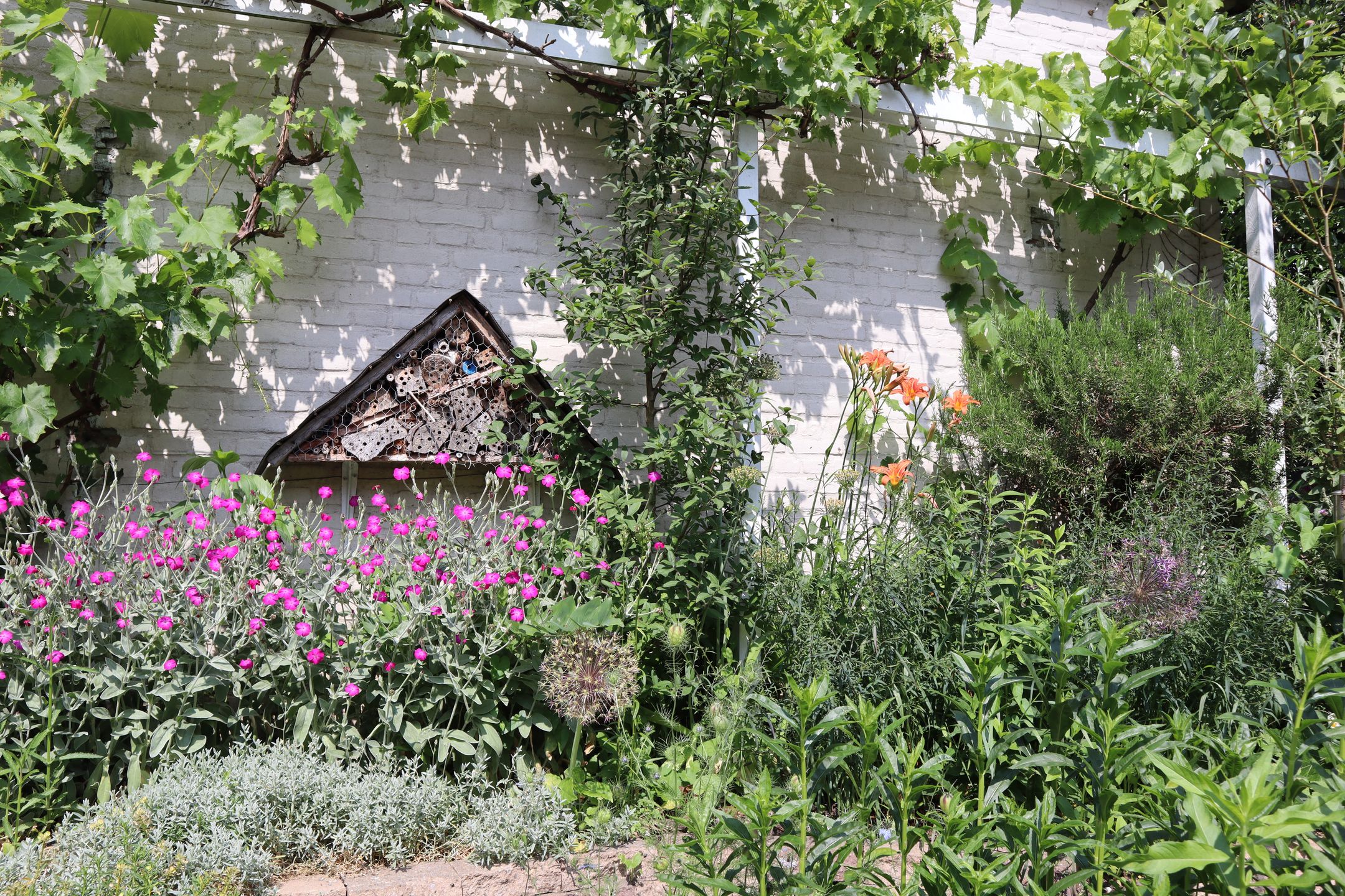 Foto 51 van Korhoenstraat 44