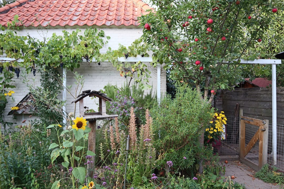 Foto 52 van Korhoenstraat 44