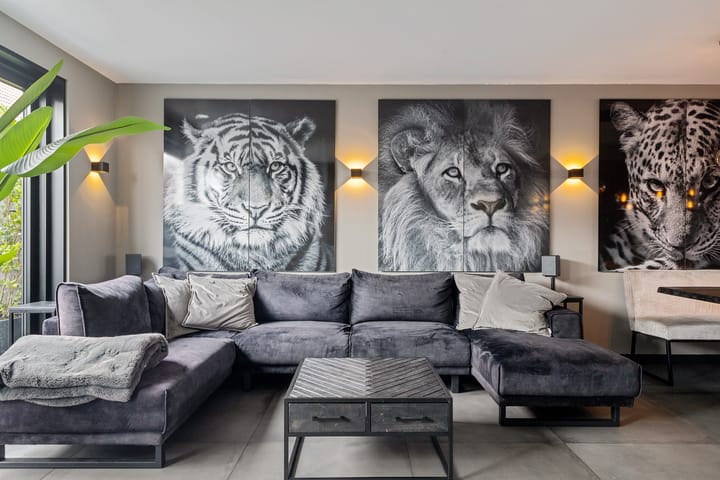 Foto 9 van Venneperweg 576