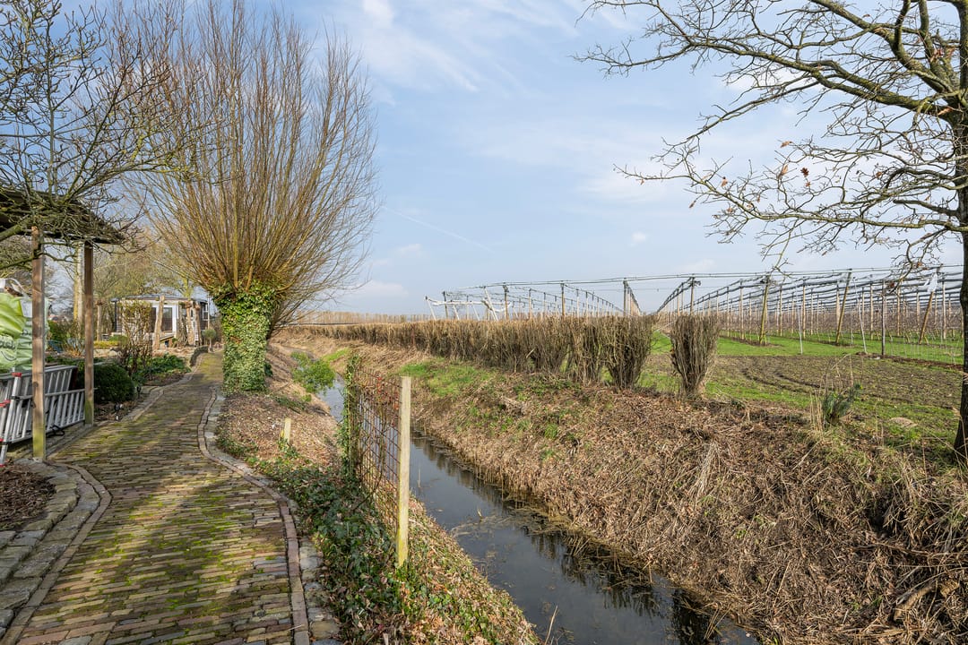 Foto 38 van Hogeweg 15