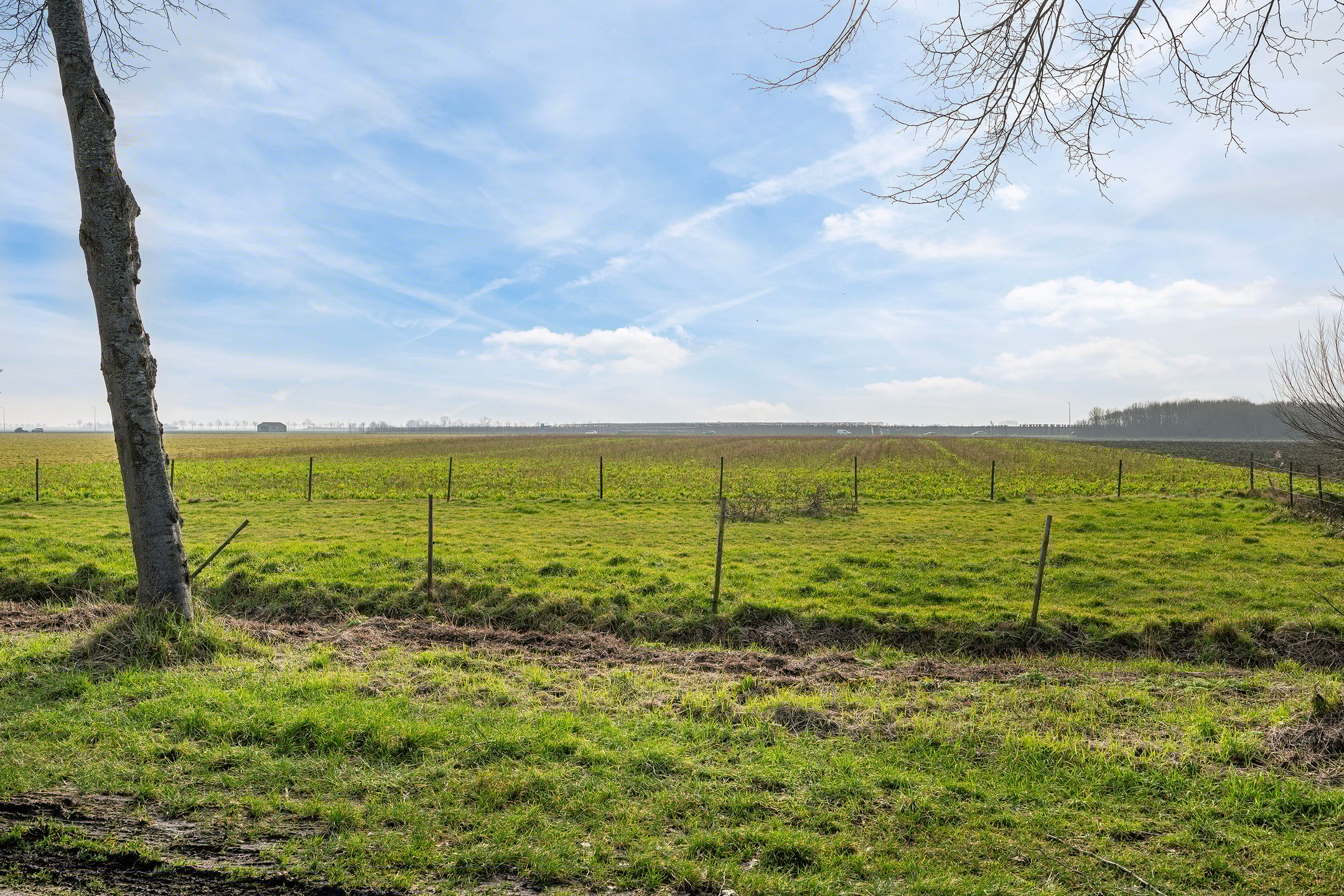 Foto 54 van Hogeweg 15