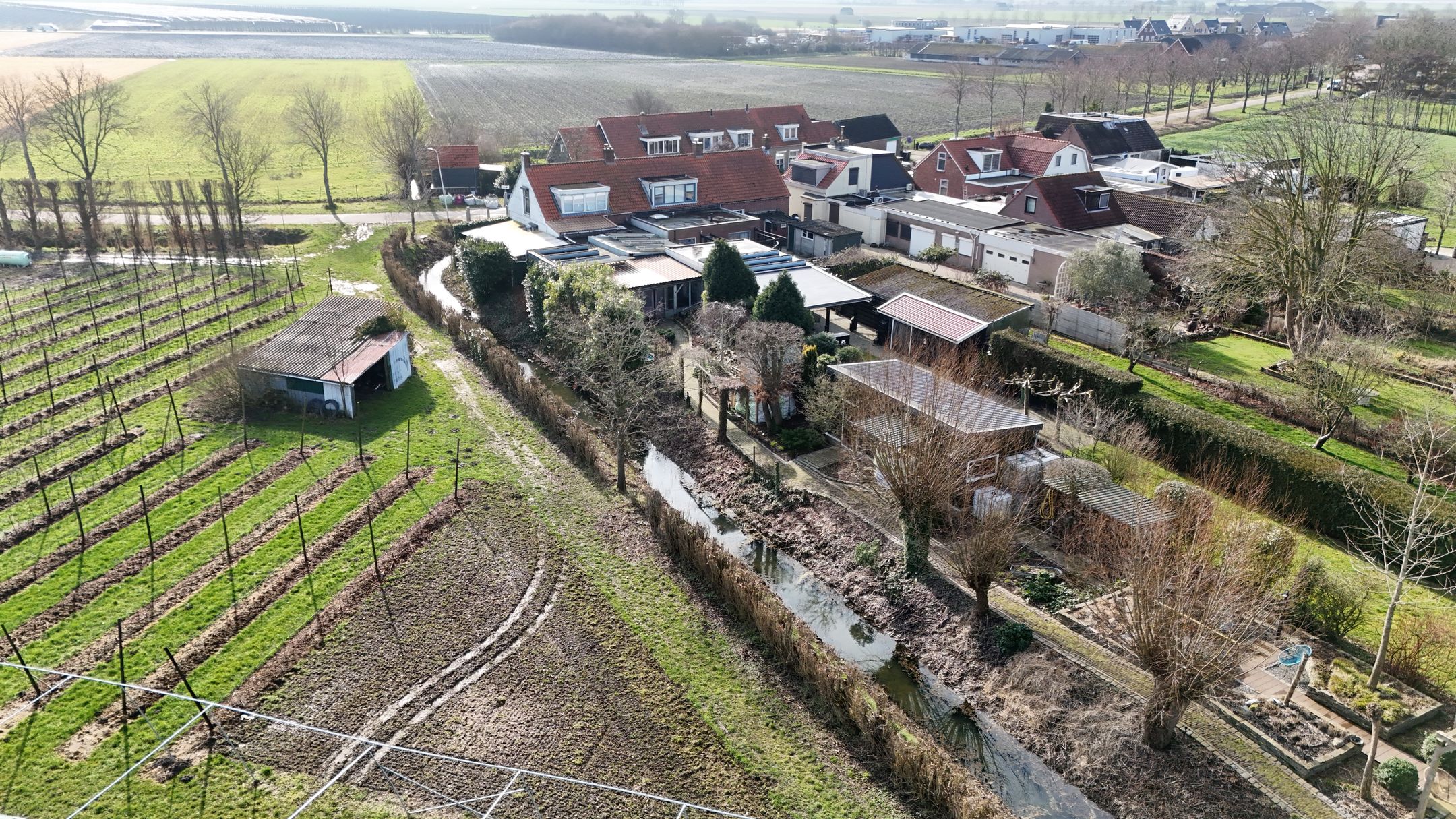 Foto 60 van Hogeweg 15