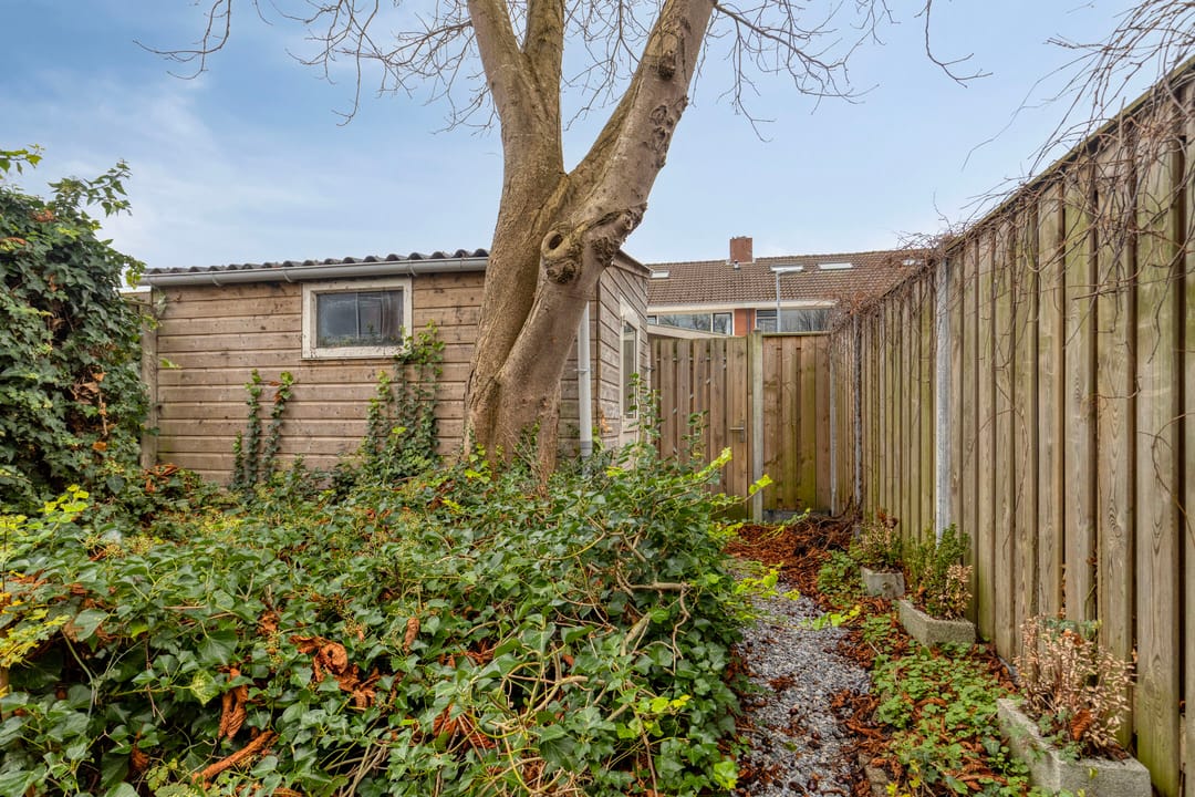 Foto 26 van Lingestraat 2