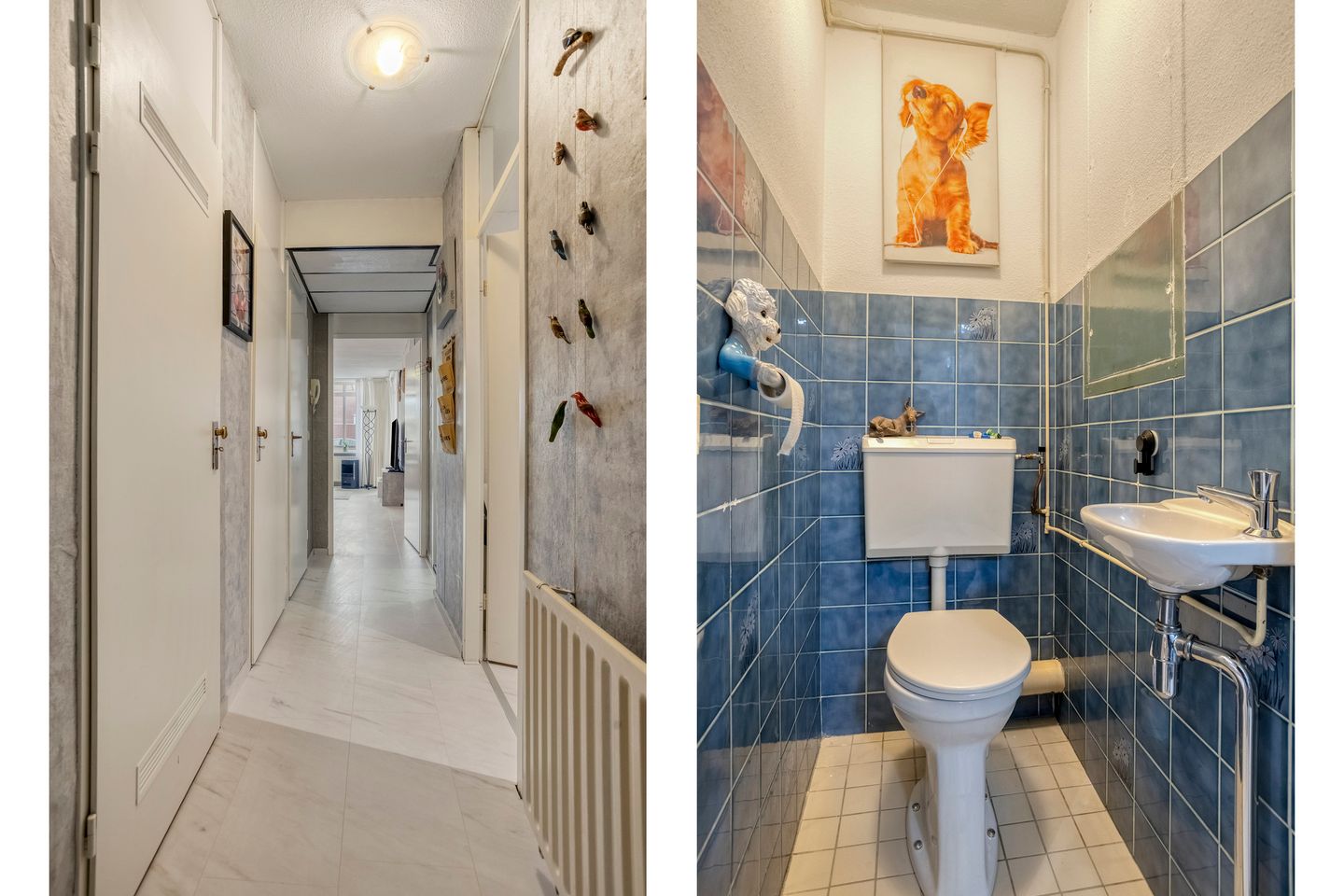 Foto 20 van De Wiek 59