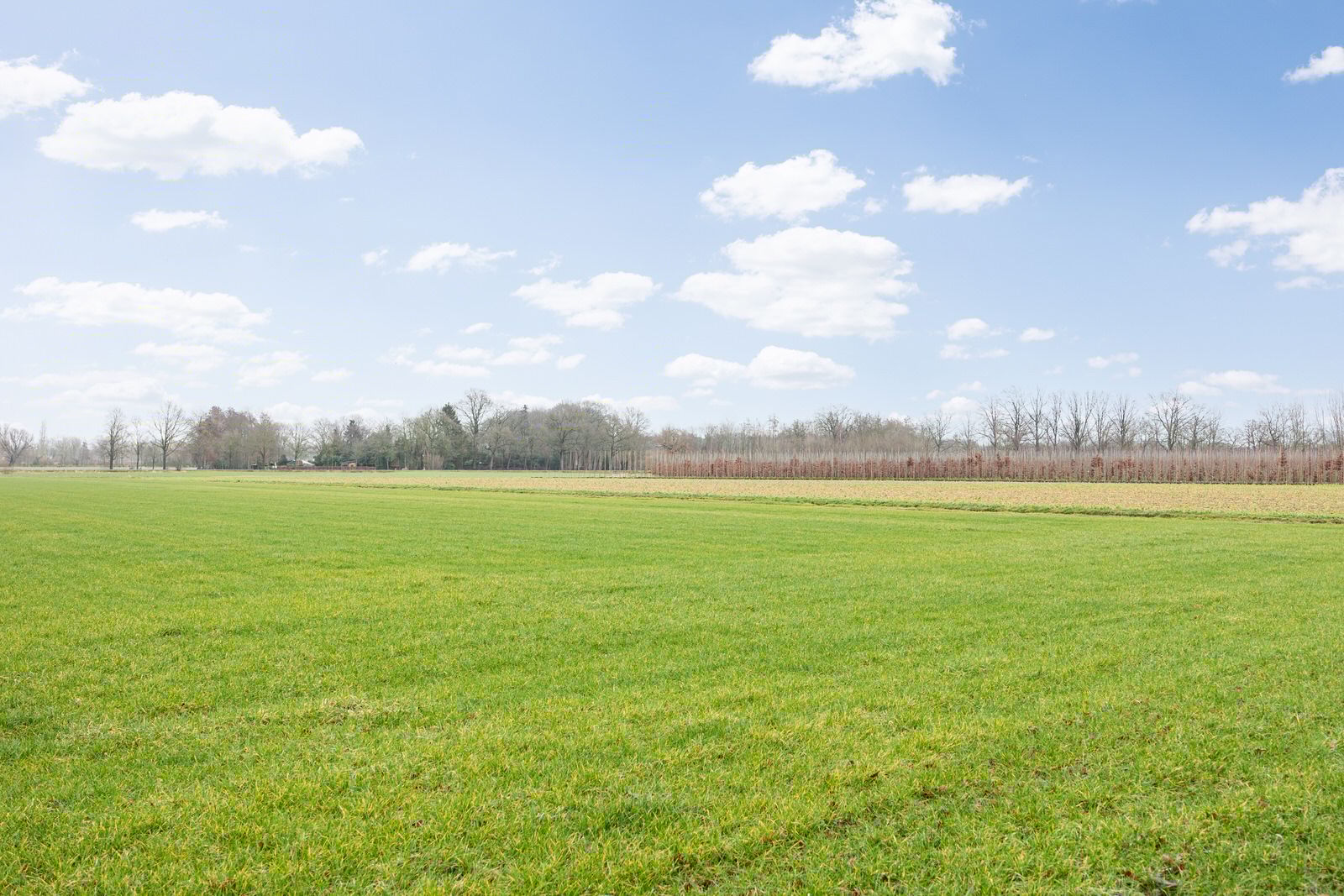 Foto 51 van Dennendreef 5-089