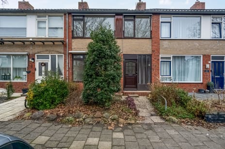 undefined main image