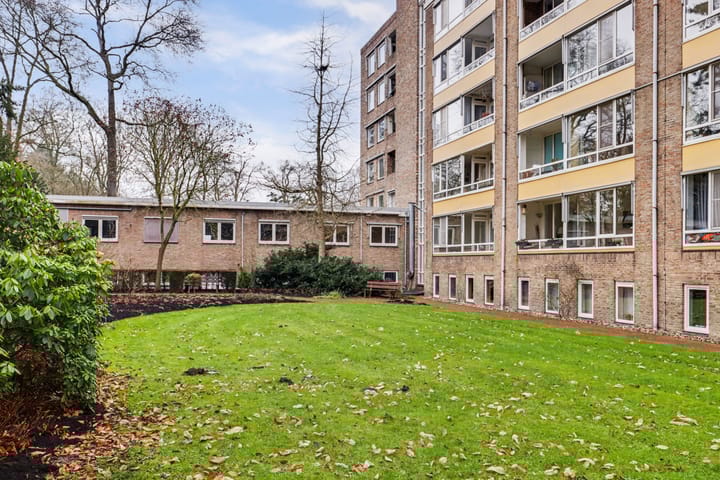 Foto 27 van Laan van Rijnwijk 1-C1