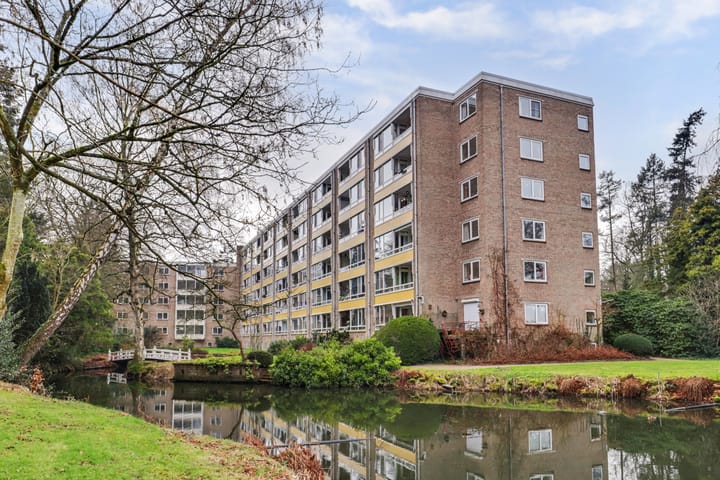 Foto 28 van Laan van Rijnwijk 1-C1