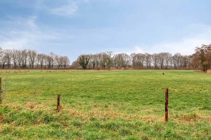 Foto 44 van Liefkenshoek 24