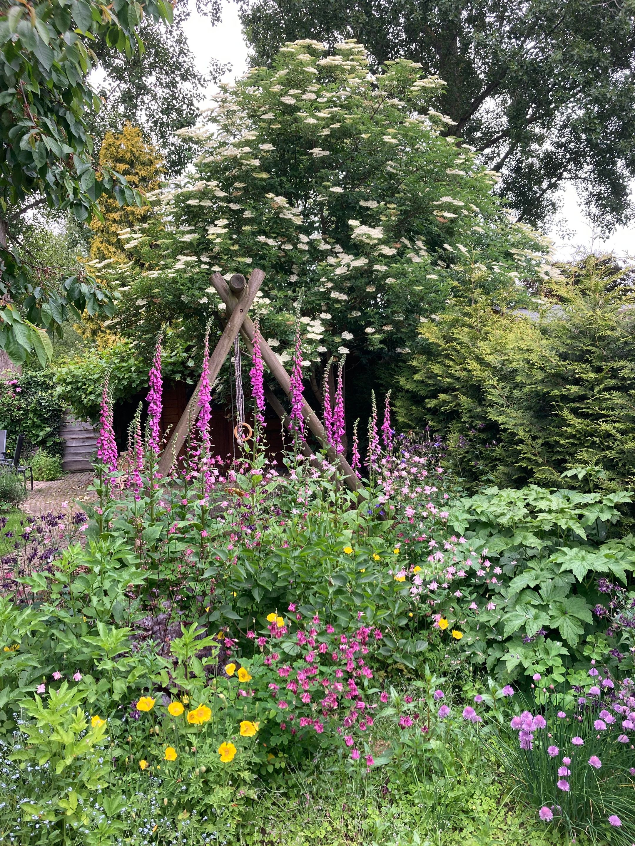 Photo 45 of De Banier 25