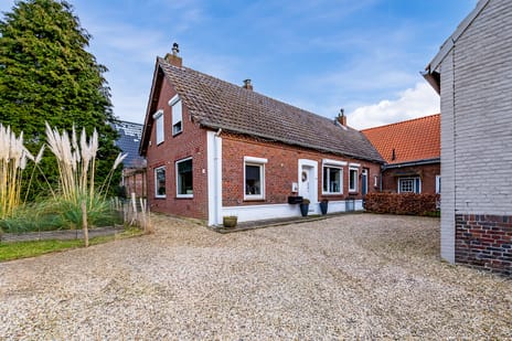 Boomstraat thumbnail