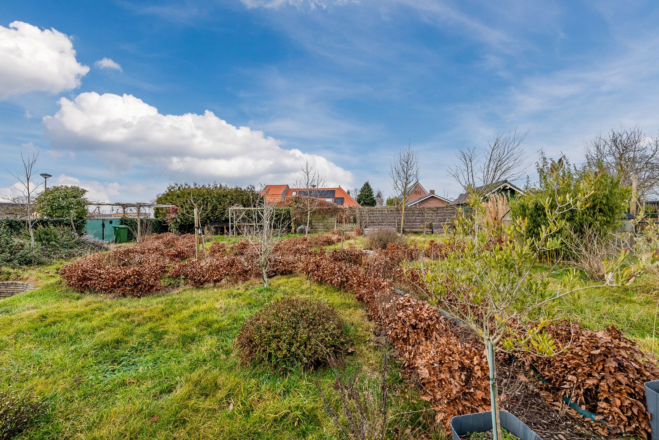 Foto 54 van Boomstraat 29