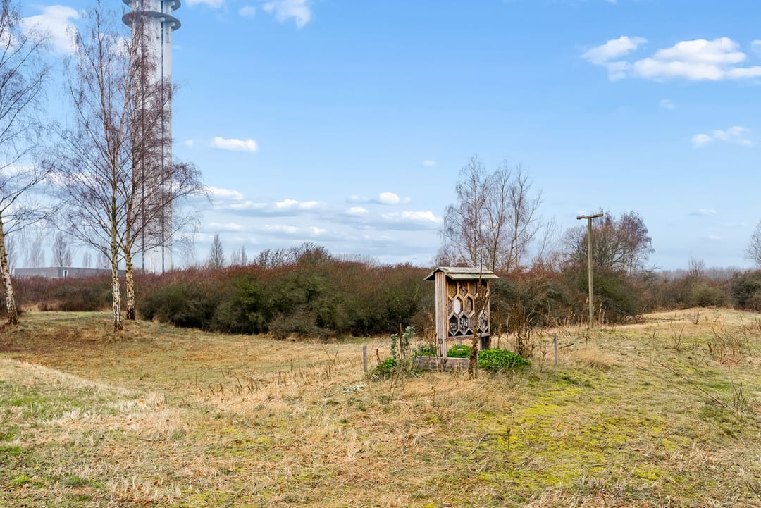 Foto 46 van Duinvoet 48