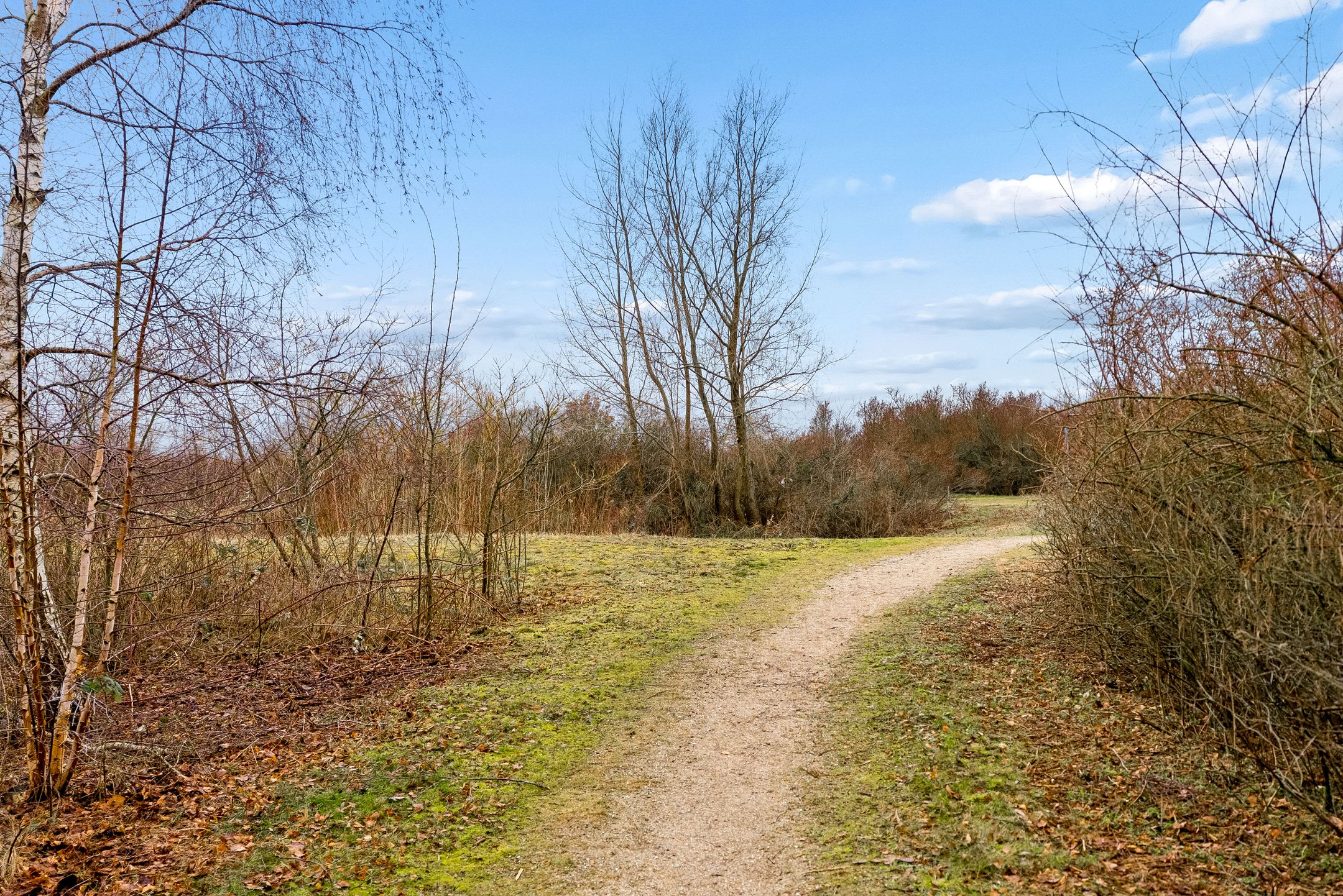 Foto 45 van Duinvoet 48