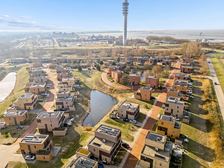 Photo 49 of Duinvoet 48