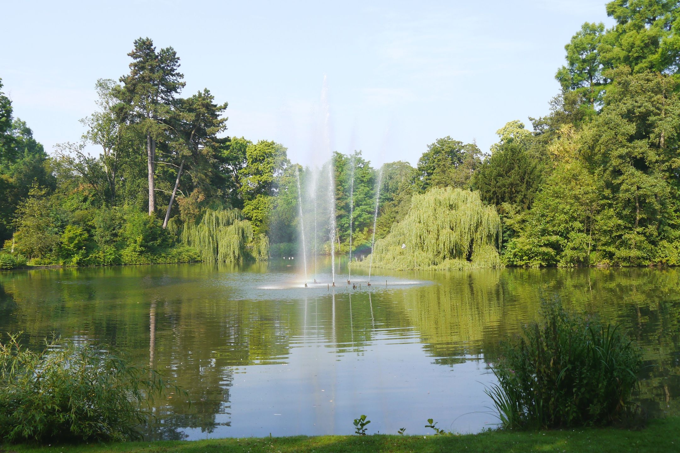 Foto 27 van Adriaen van Ostadelaan 52