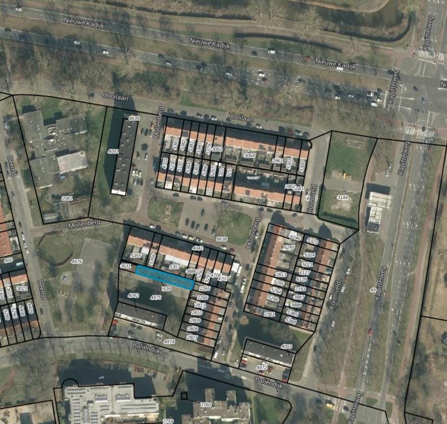 Bekijk foto 4 van Mollenberg