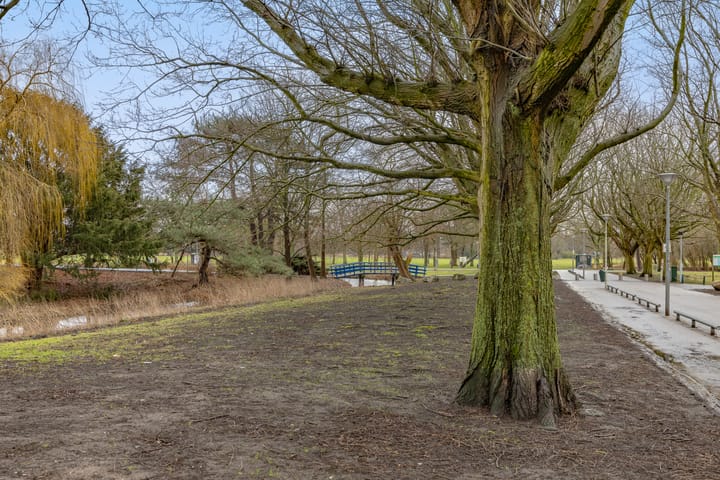 Foto 30 van Driebergenstraat 52